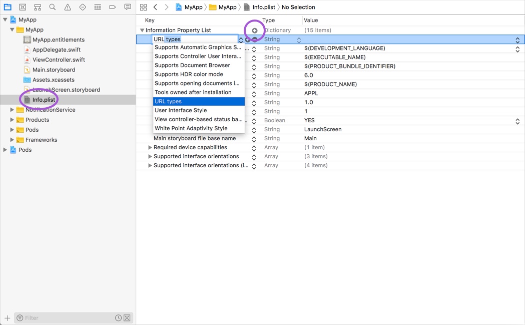 info.plist