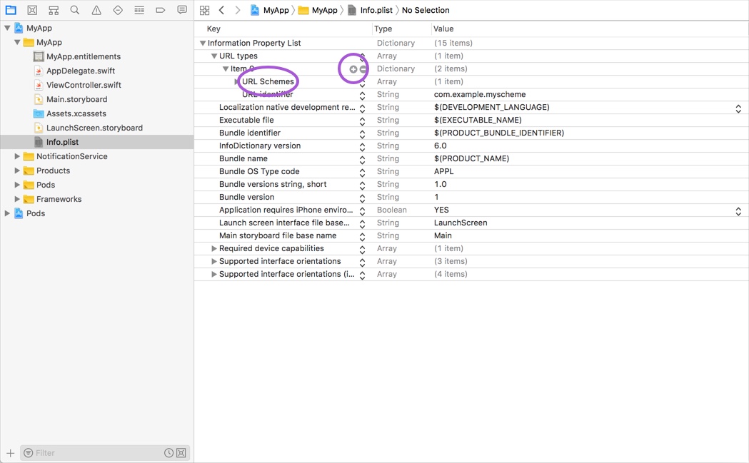 URL Schemes in Info.plist editor