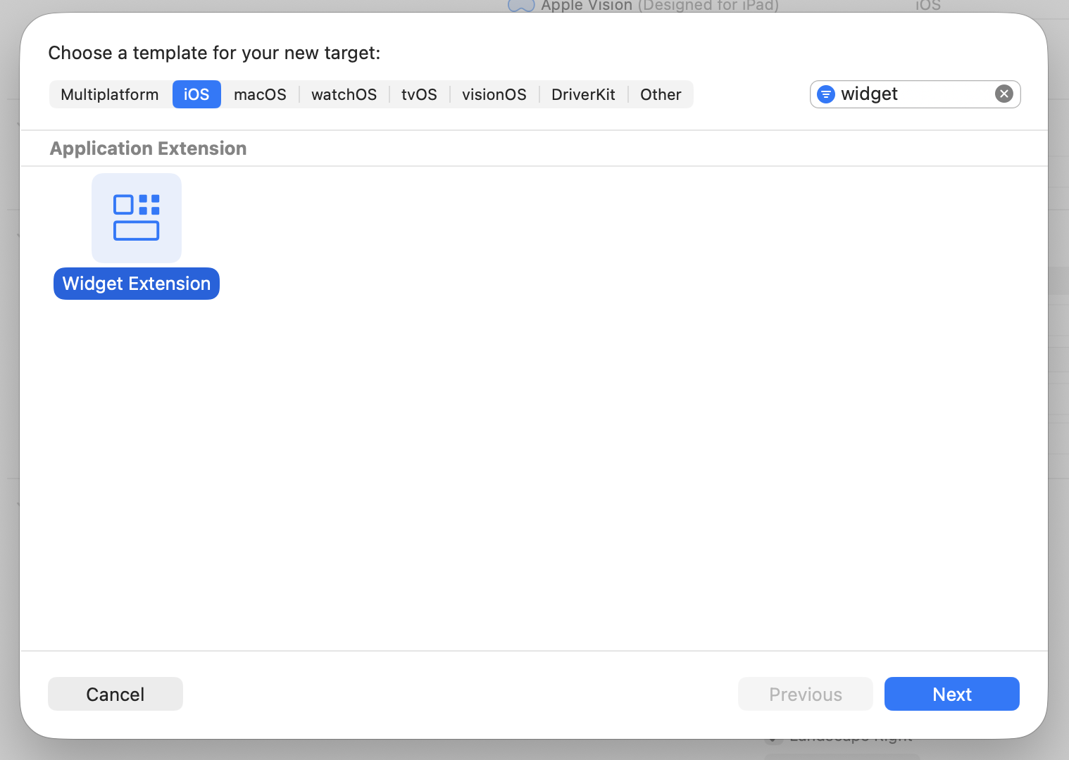 Widget Extension Template