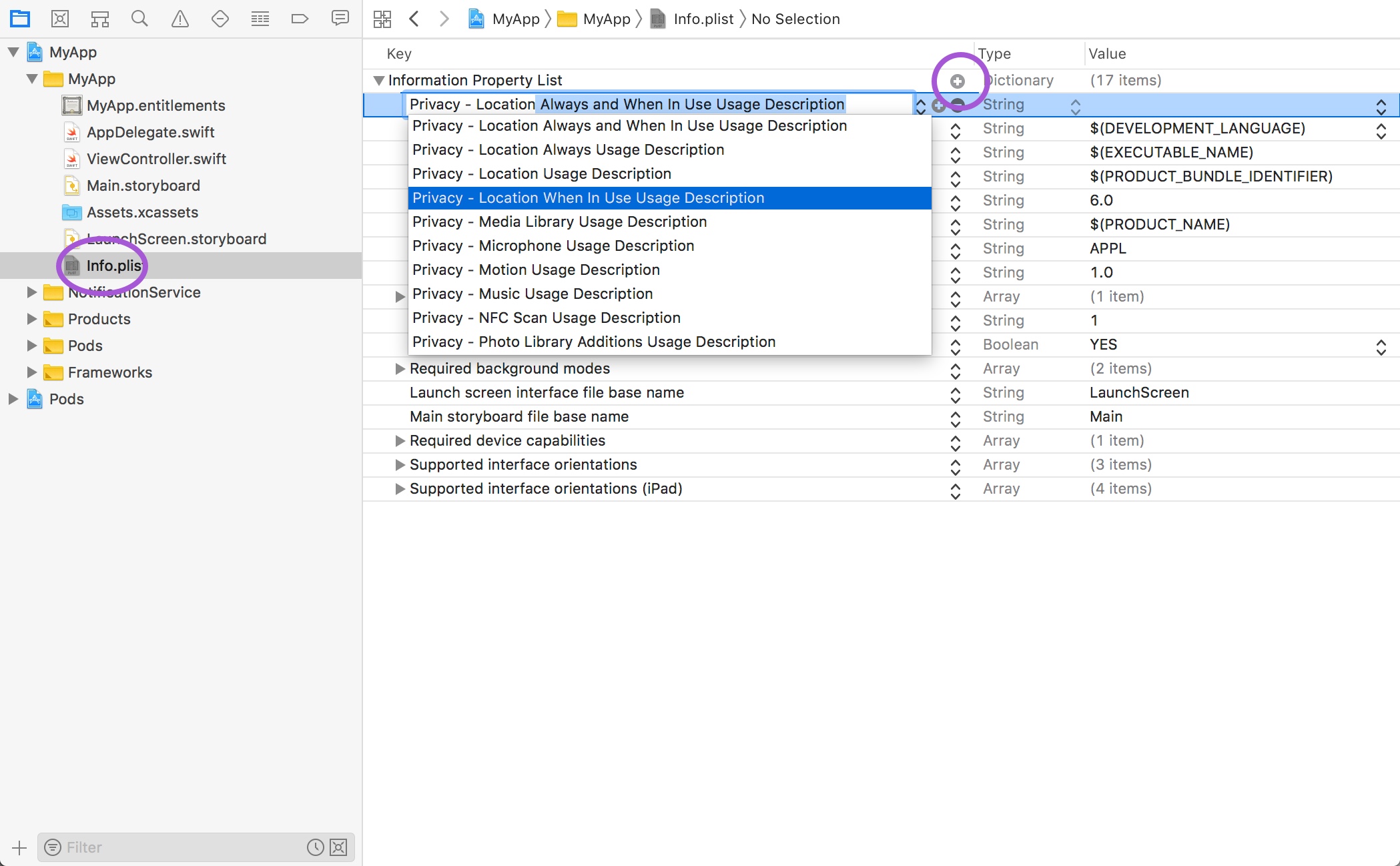 info.plist